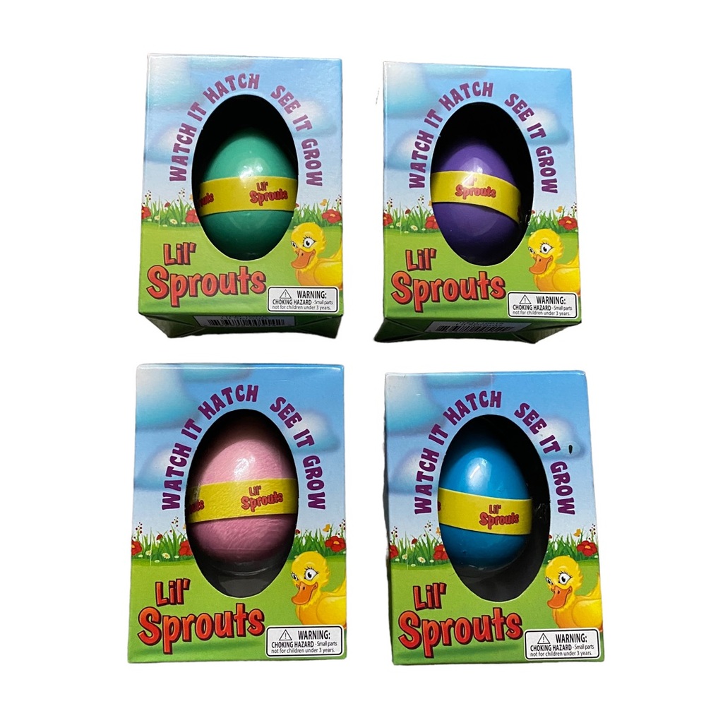 24 HRS SALE ONLY - Easter 4 Lil’ Sprouts Hatching Eggs! For kids!